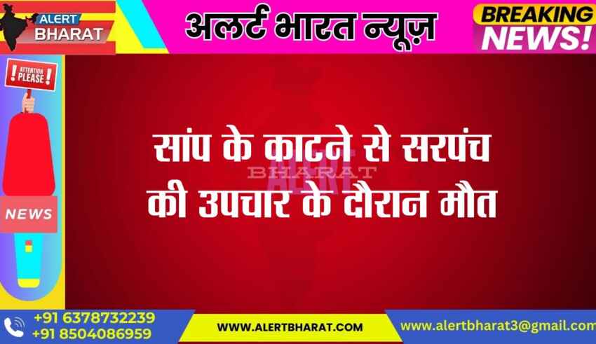 Sarpanch dies during treatment due to snake bite