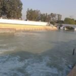 बीकानेर: प्रेम प्रसंग के चलते युवक-युवती ने नहर में कूदकर दी जान, हाथ बंधे मिले शव