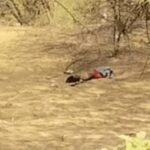 महिला का अर्धनग्गन अवस्था में शव मिलने का मामला, लिव-इन में रहने वाले व्यक्ति को कोटा से दबोचा, पुलिस ने कुछ ही घंटे में खोले राज