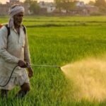 बीकानेर: कीटनाशक का छिड़काव करते समय बुजुर्ग की बिगड़ी तबीयत, इलाज के दौरान मौत