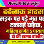 दर्दनाक हादसा: सड़क पर पड़े मृत पशु से टकराई बाइक, महिला समेत 5 घायल, दो की हालत गंभीर
