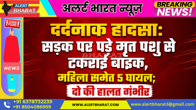 दर्दनाक हादसा: सड़क पर पड़े मृत पशु से टकराई बाइक, महिला समेत 5 घायल, दो की हालत गंभीर