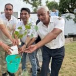 जीएसटी दिवस पर केंद्रीय जीएसटी विभाग ने किया वृक्षारोपण, पर्यावरण संरक्षण का दिया संदेश
