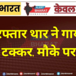 तेज रफ्तार थार ने गाय को मारी टक्कर, मौके पर मौत