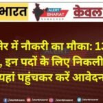 बीकानेर में नौकरी का मौका: 13 पदों पर भर्ती, इन पदों के लिए निकली वैकेंसी; यहां पहुंचकर करें आवेदन